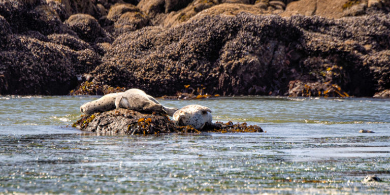  Yaquina Bay Lighthouse 