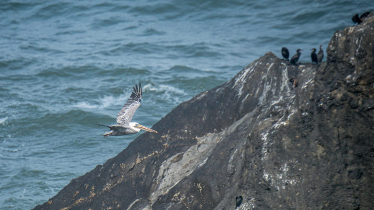  Yaquina Bay Lighthouse 