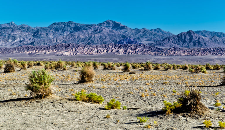 Zabriskie Point